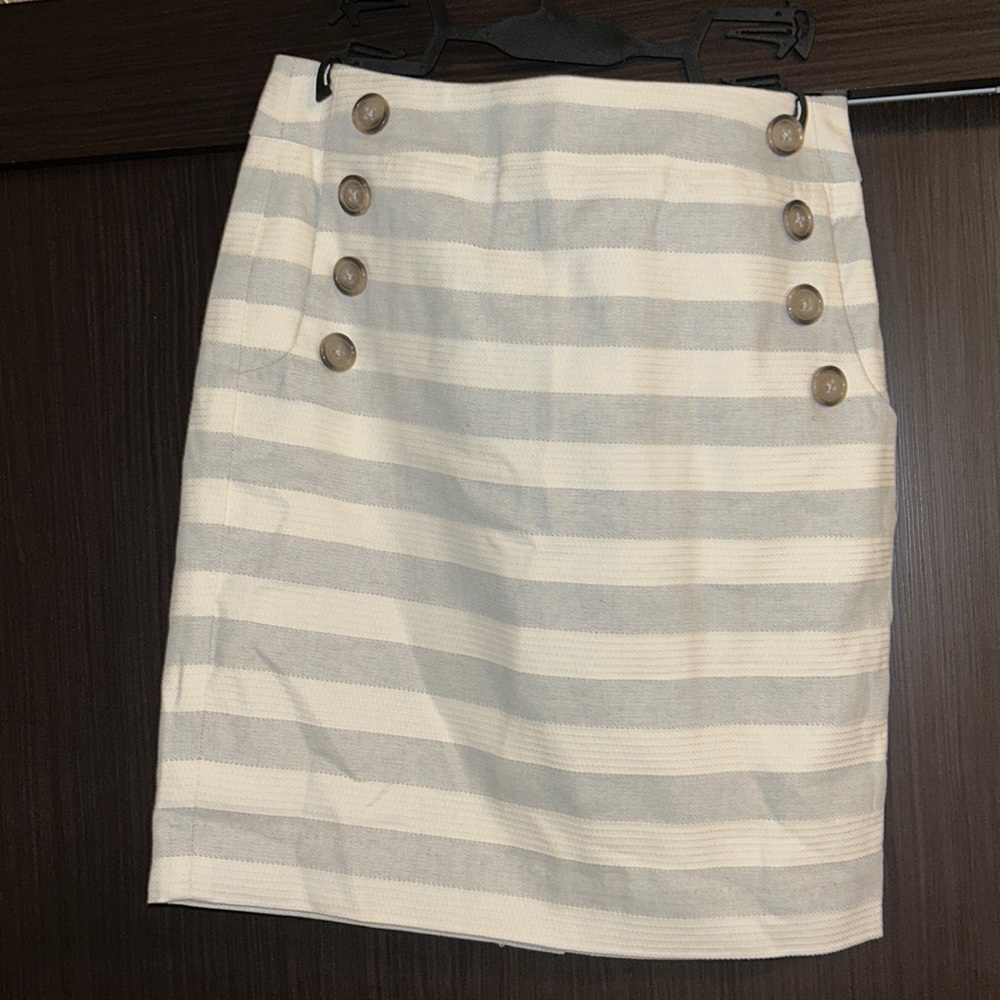 Ann Taylor Loft Skirt